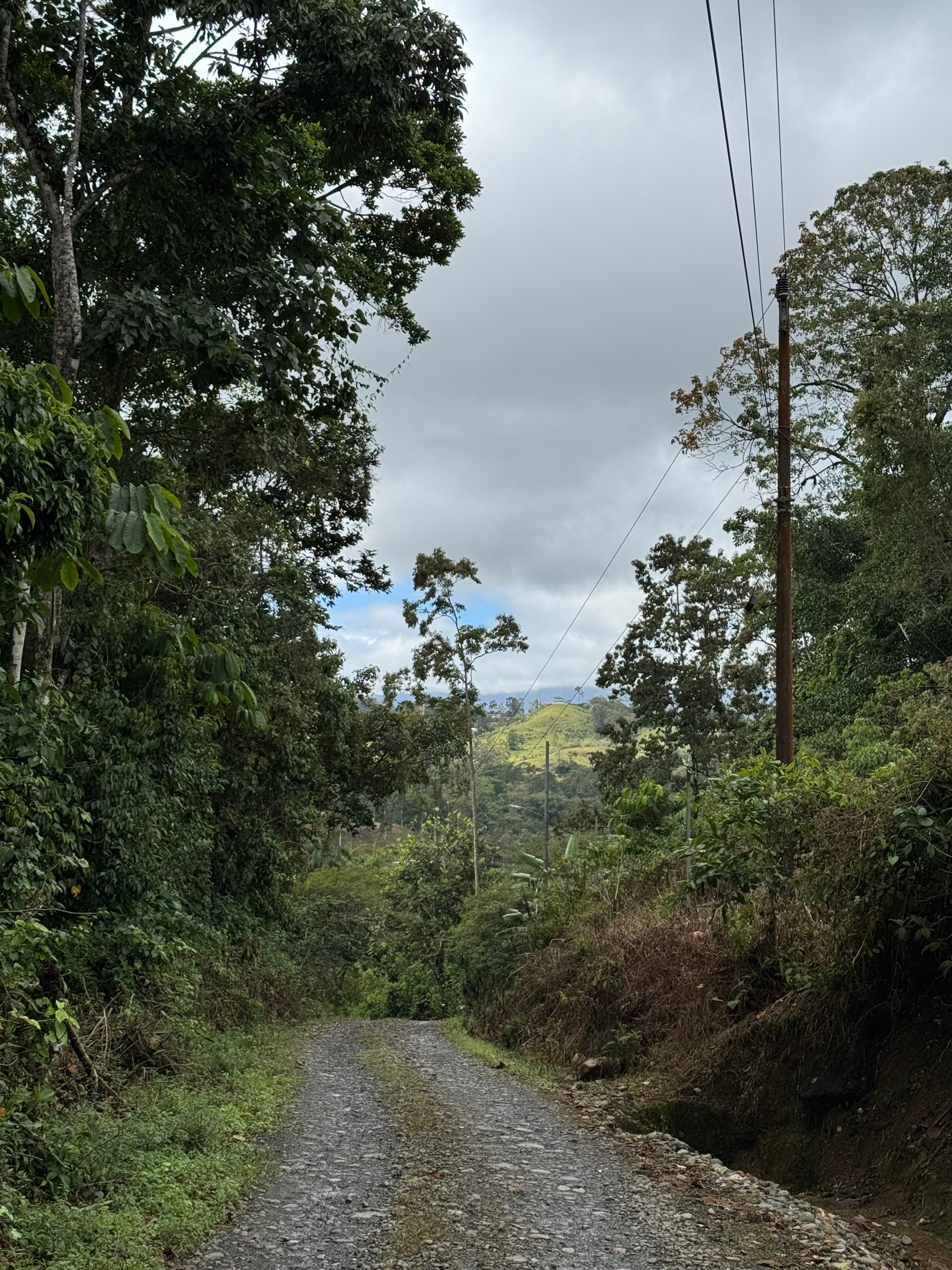 Costa Rica trek — rural mountain road through lush forest
