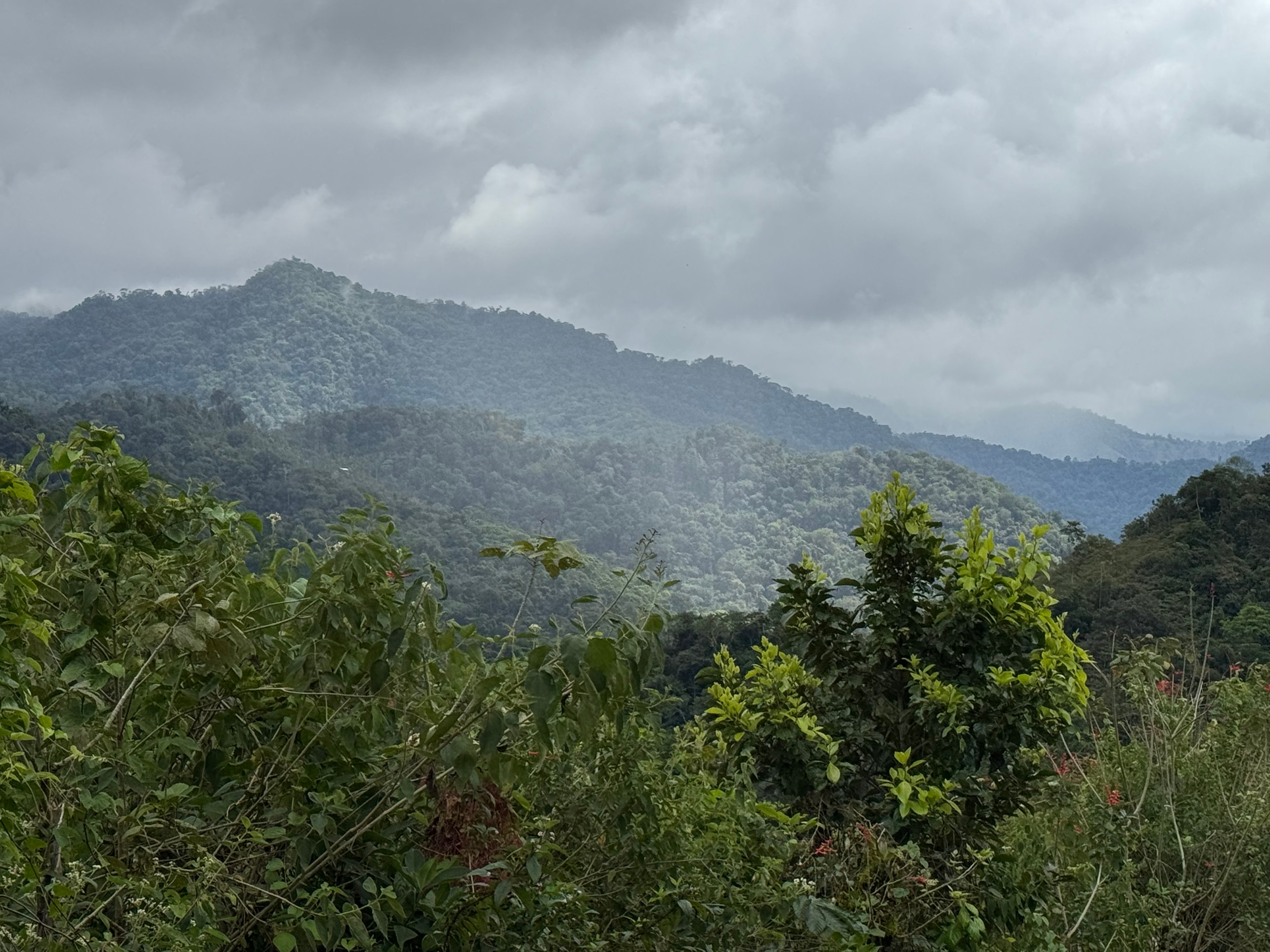 Costa Rica trek — lush rainforest mountains under cloudy sky