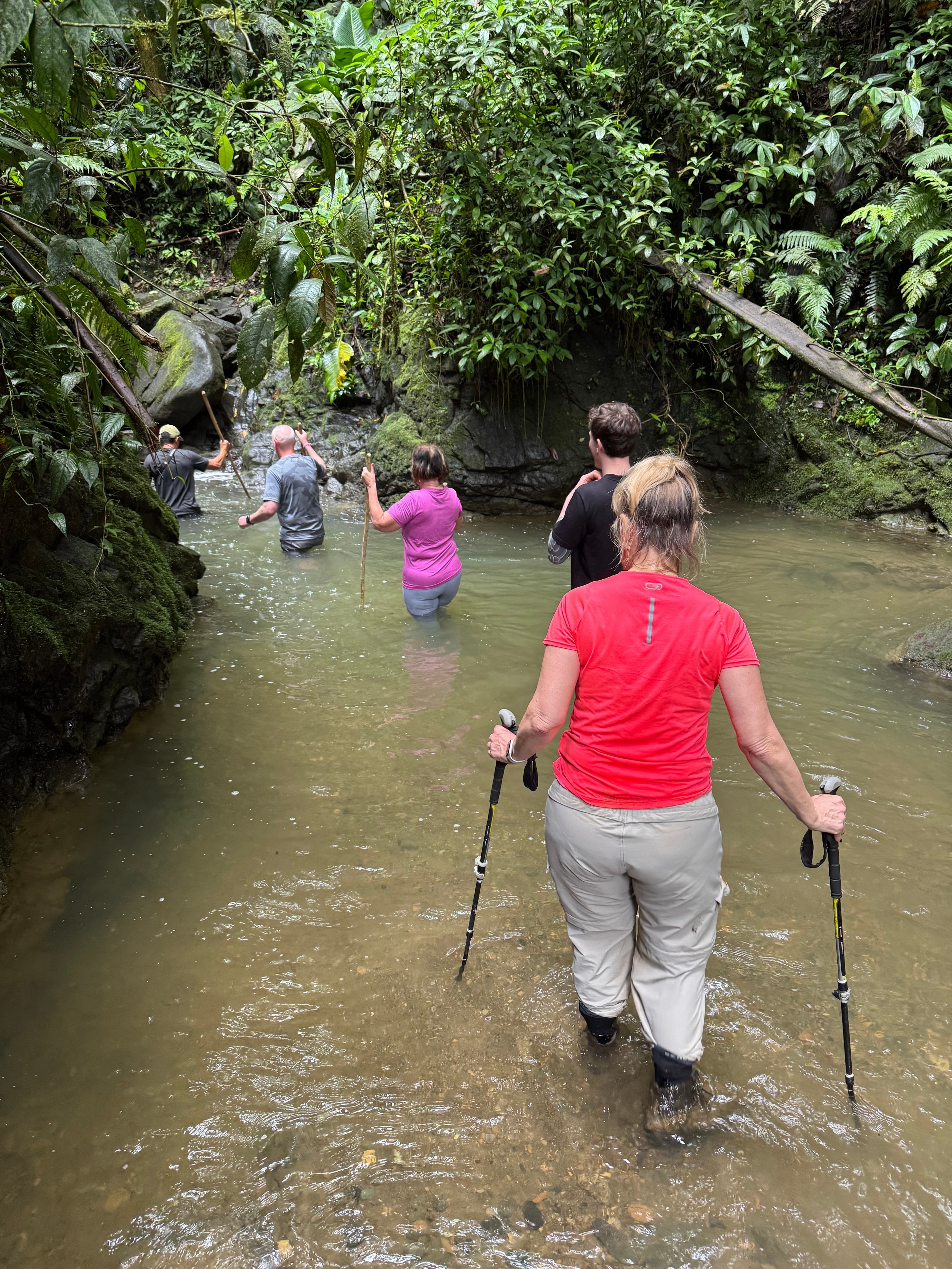 Costa Rica trek — hikers wading through jungle stream
