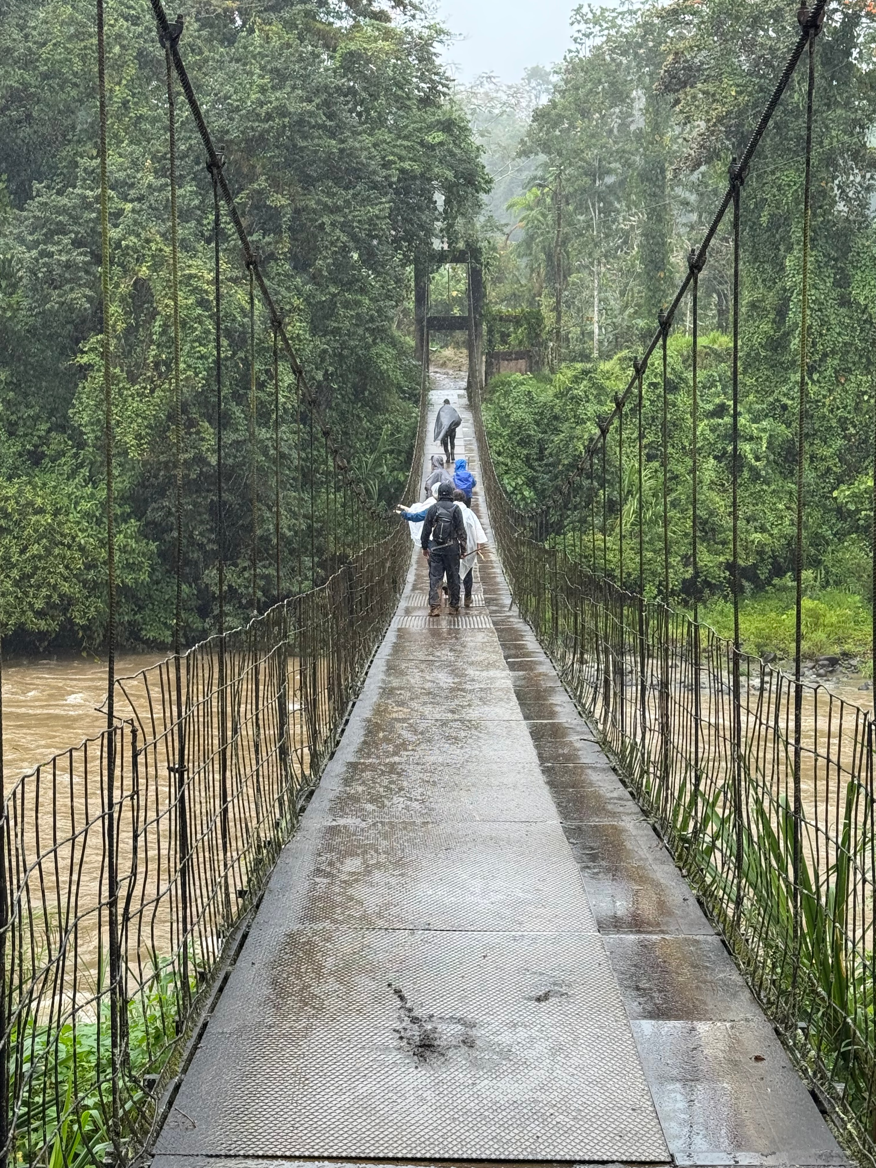 Costa Rica trek — group on the trail