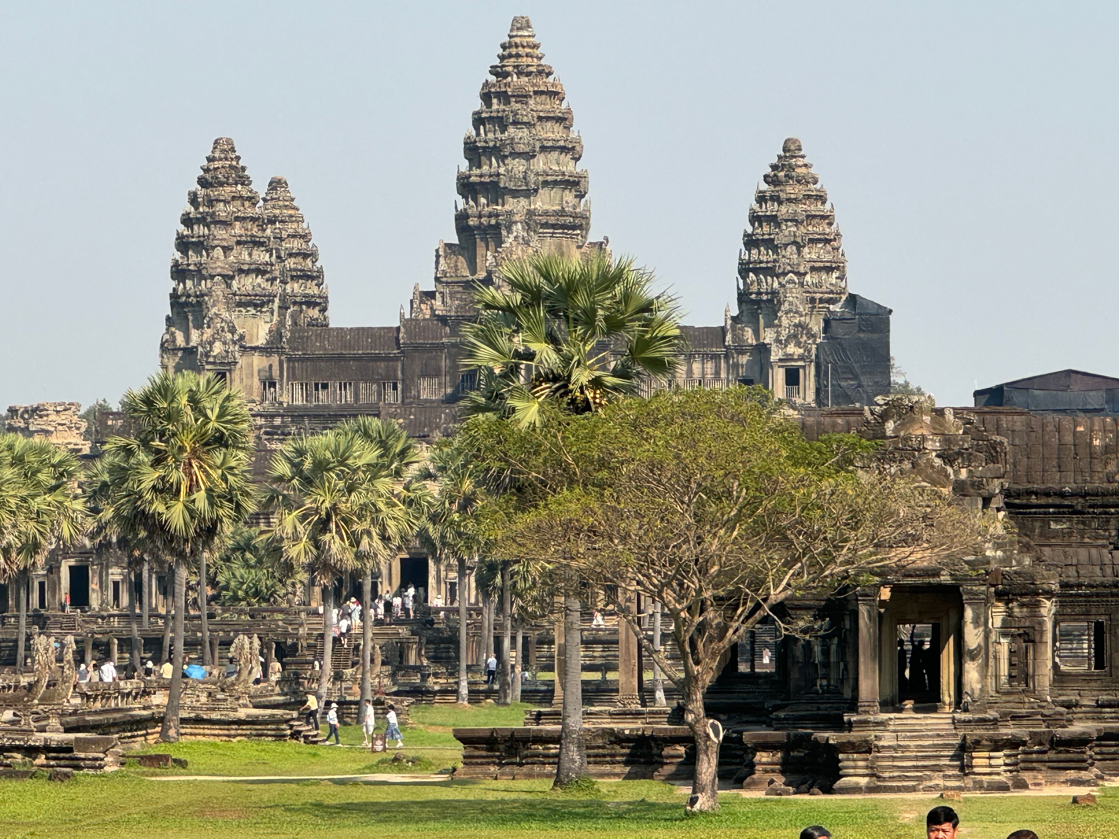 Ho Chi Minh to Angkor Wat — Angkor Wat temple complex with palm trees